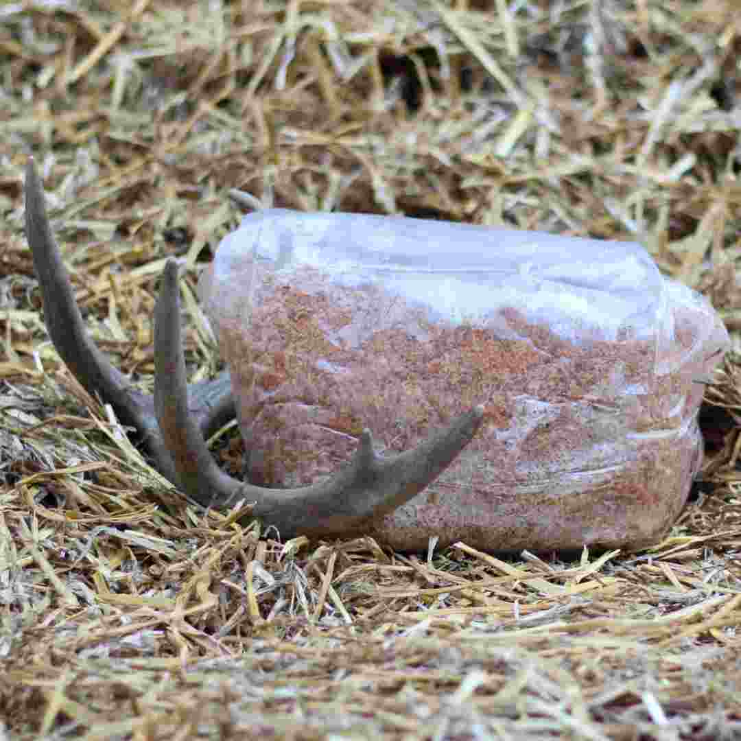 Starter Pack of Mushroom Food Plot™ Spawn
