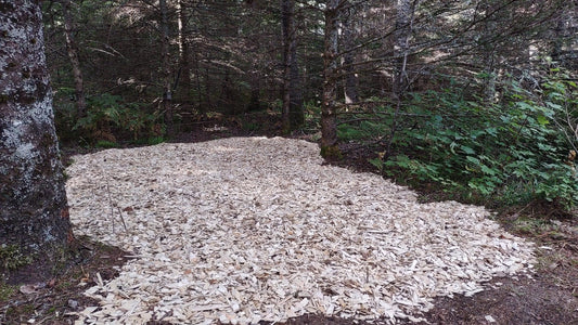 "Good CWD", Mushrooms and "Bad CWD"