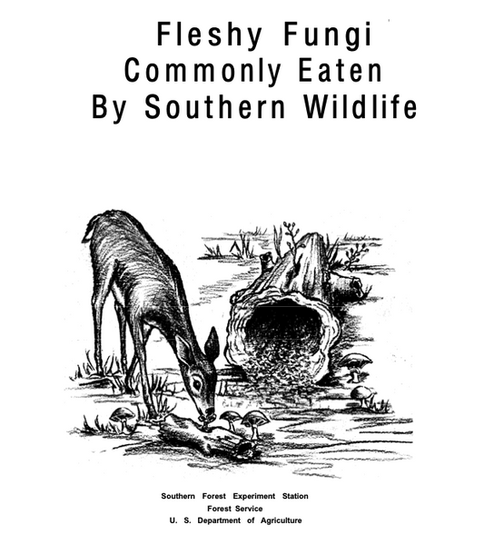 Scientific Papers series 3, Fleshy Fungi Commonly Eaten By Southern Wildlife, Howard Miller and Lowell K. Halls