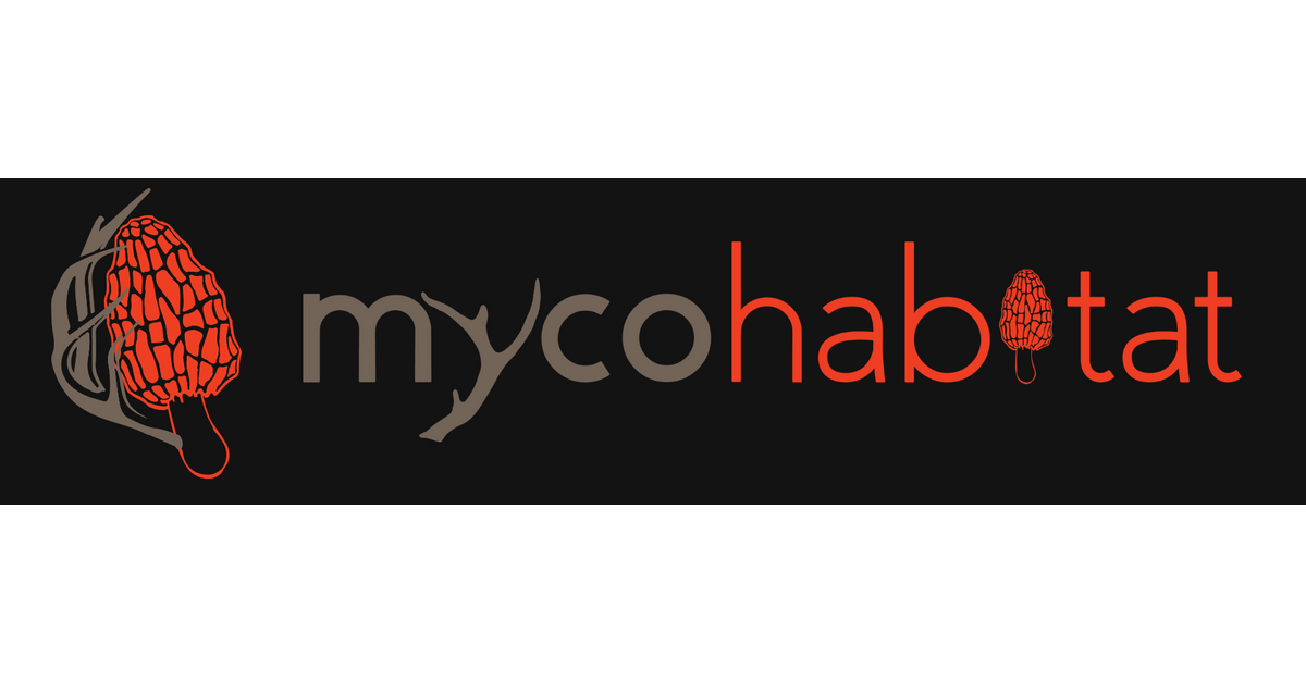 About Us and Current Publications - The evolution of Mushroom Food Plo ...