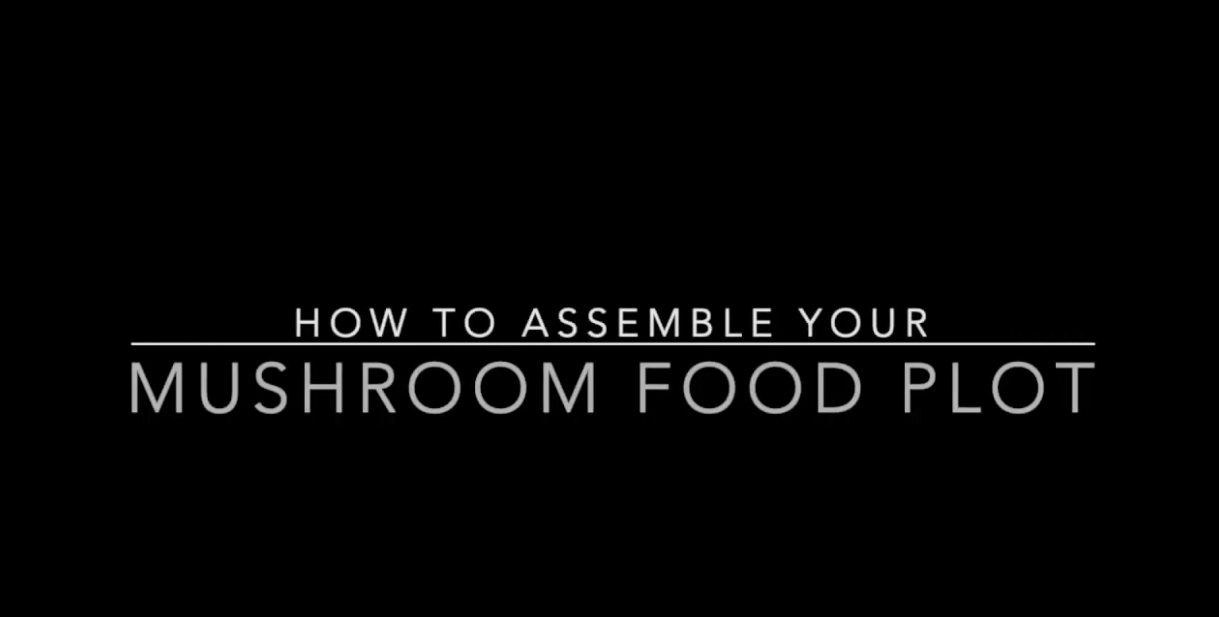 Load video: Step by step guide on how to build your mushroom food plot